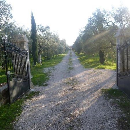 Villa Farm Agriturismo Masseria Chiusurella Corato Exterior foto